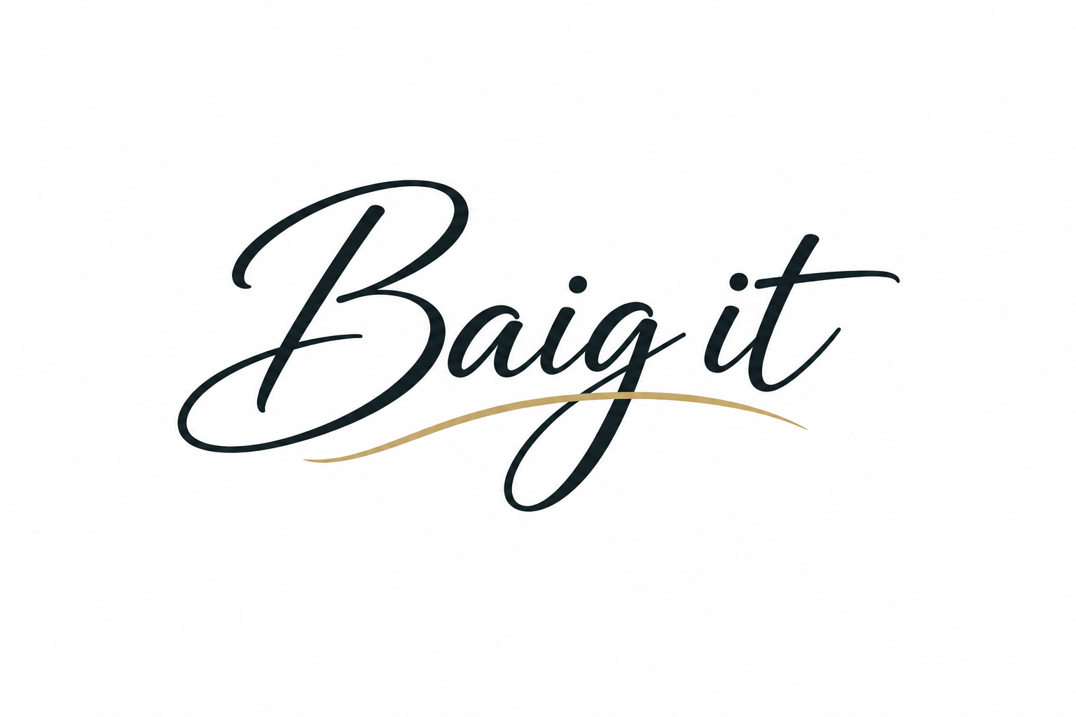 Baig it handwritten logo on a white background